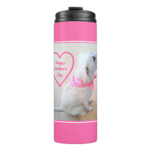 Bouteilles Isothermes Photo du mignon chien portant l'écharpe rose Fête 