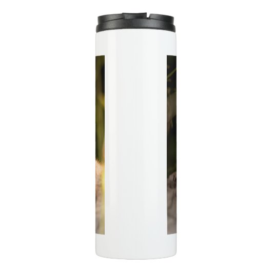 Bouteilles Isothermes Photo d'un mignon petit renard orange en acier ino (Dos)