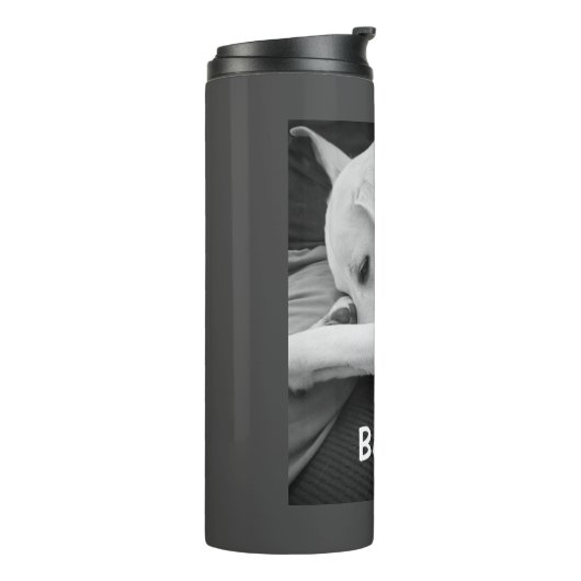 Bouteilles Isothermes Photo en noir et blanc de mignon chien reposant av (Tourné sur la gauche)