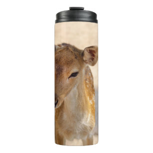 Bouteilles Isothermes Photographie de cerfs fantaisistes de la forêt