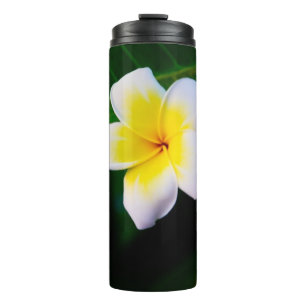 Bouteilles Isothermes Photographie de fleurs de plumeria