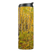 Bouteilles Isothermes Piste pittoresque d'automne à Aspen Tree Grove (Tourné sur la gauche)