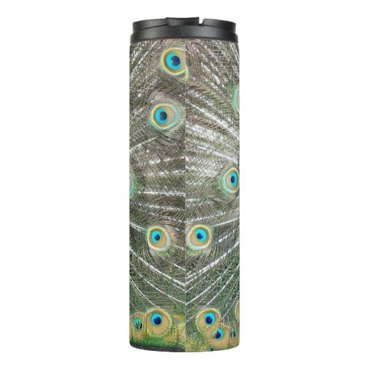 Bouteilles Isothermes Plumage bleu Peacock (Dos)