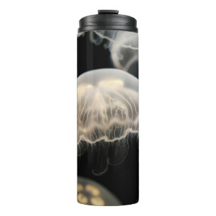 BOUTEILLES ISOTHERMES POISSON BLANC