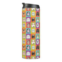 Pommeau thermique Joyeux Cochons de Guinée