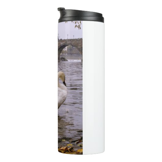 Bouteilles Isothermes Pont Swans et Charles à Prague (Tourné sur la droite)