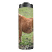 Bouteilles Isothermes Pony tumbler (Devant)
