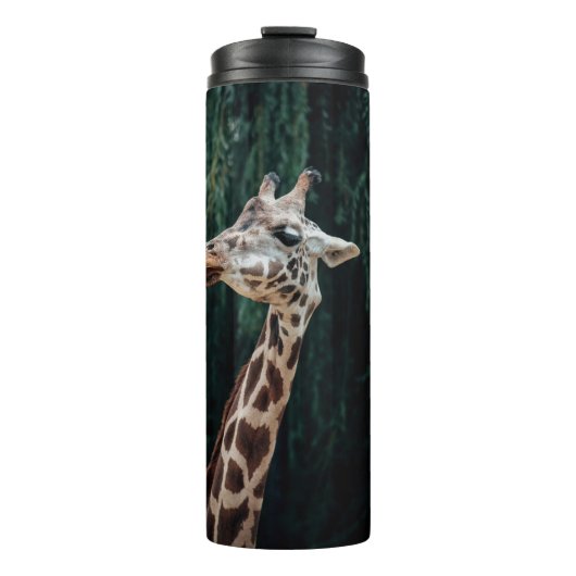 BOUTEILLES ISOTHERMES PORTRAIT DE GIRAFFE CUIT (Devant)