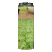 Bouteilles Isothermes Portrait d'un berger allemand (Dos)