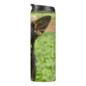 Bouteilles Isothermes Portrait d'un berger allemand (Tourné sur la droite)