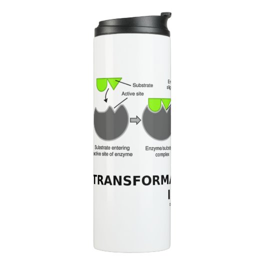 Bouteilles Isothermes Processus transformationnel à l'intérieur du sous- (Tourné sur la gauche)