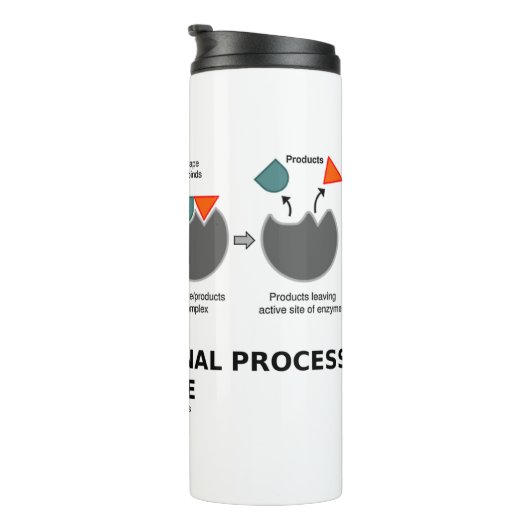 Bouteilles Isothermes Processus transformationnel à l'intérieur du sous- (Tourné sur la droite)