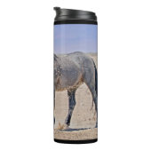 Bouteilles Isothermes Puissant caisson thermique Stallion (Tourné sur la droite)