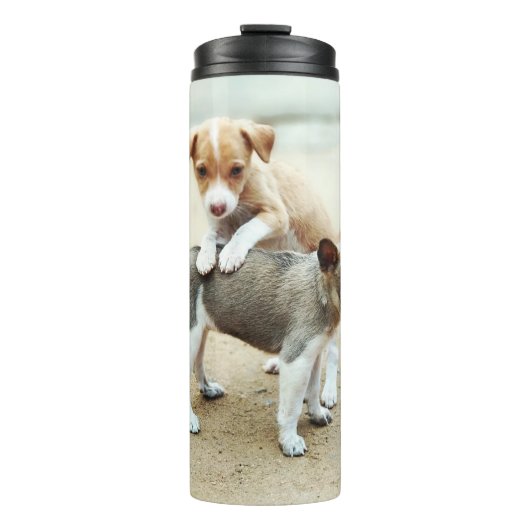 Bouteilles Isothermes Puppies mignonnes jouer sur la plage (Devant)