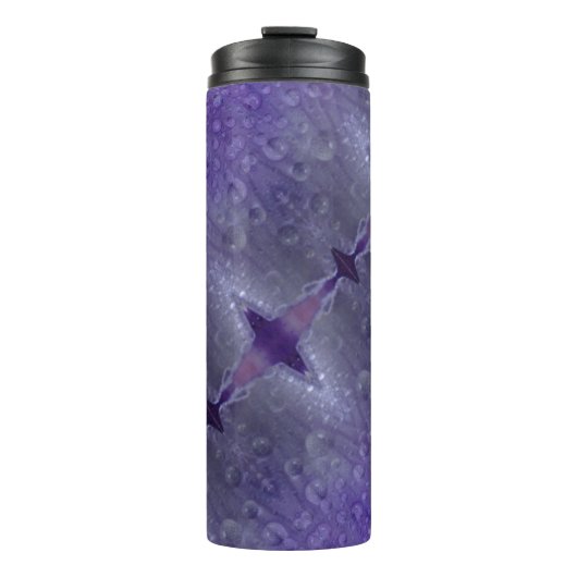 Bouteilles Isothermes Purées et gris (Devant)