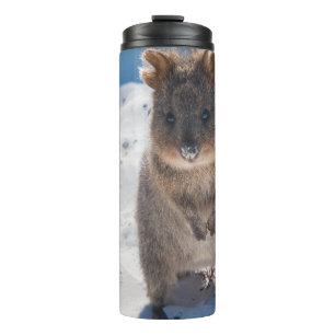 Bouteilles Isothermes Quokka sur la plage Australie, Filles aux accents 