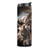 Bouteilles Isothermes ranthambore tigre mâle sauvage Image d'art (Tourné sur la gauche)