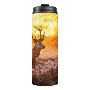 Bouteilles Isothermes Red Deer in Morning Sun, cerf, animal, faune, natu