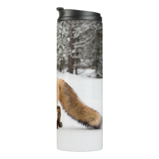 Bouteilles Isothermes Renard rouge en neige blanche (Tourné sur la droite)