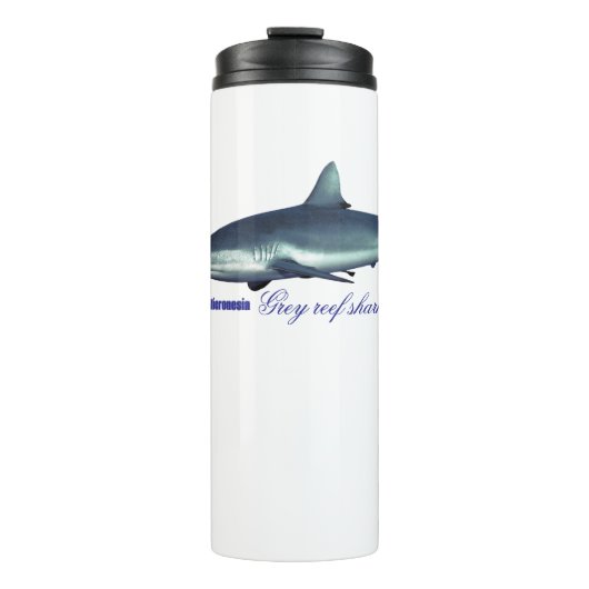 Bouteilles Isothermes requin gris cool (Devant)