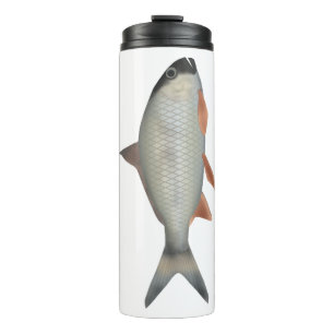 Bouteilles Isothermes Roi poisson Assamais