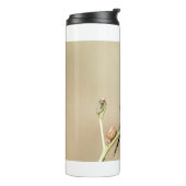 Bouteilles Isothermes Roller à poitrine Lilac (Tourné sur la gauche)