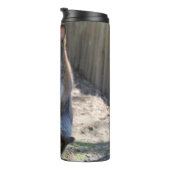 Bouteilles Isothermes Roo aussi (Tourné sur la droite)