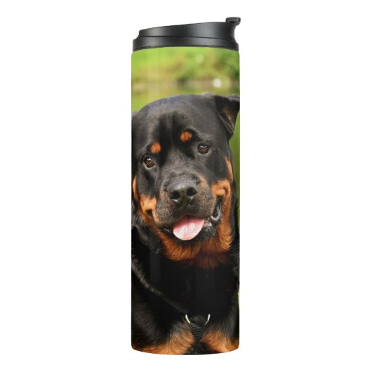 Bouteilles Isothermes Rottweiler heureux (Tourné sur la gauche)