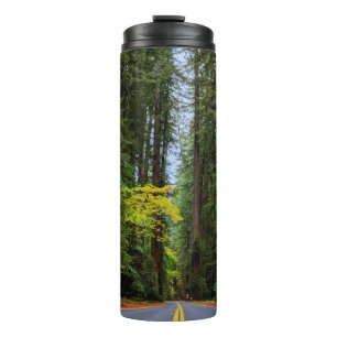 Bouteilles Isothermes Route directe à travers la forêt de séquoias