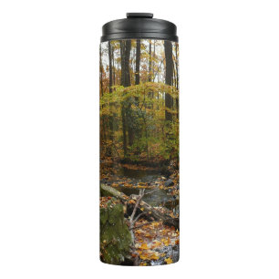 Bouteilles Isothermes Ruisseau de Fall avec reflet au parc Laurel Hill