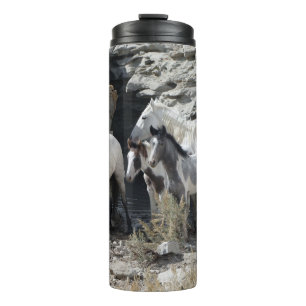 Bouteilles Isothermes Sable Wash Bassin Rock Cut Waterhole