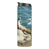 Bouteilles Isothermes San Diego Sea Lions (Tourné sur la droite)