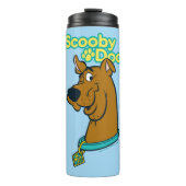 Bouteilles Isothermes Scooby-Doo Winking (Devant)
