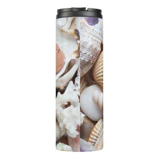 Bouteilles Isothermes Sea Shells Stones Coral Arrière - plan (Dos)