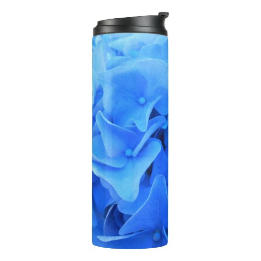 Bouteilles Isothermes Sérapine (Tourné sur la gauche)