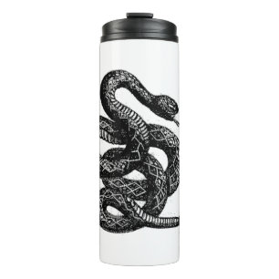 Bouteilles Isothermes Serpent Crotalus Cascavella (Vipère à Piton Venime