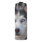 Bouteilles Isothermes Sibérien Husky (Devant)
