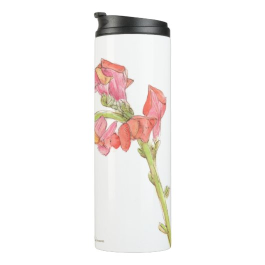 Bouteilles Isothermes Snapdragon (Tourné sur la droite)