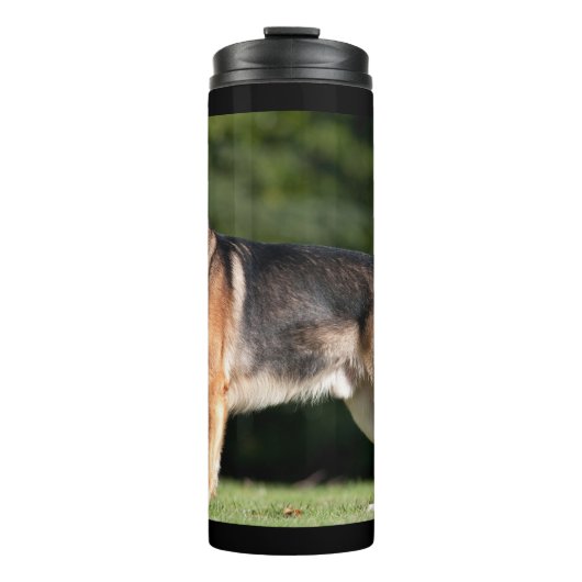 Bouteilles Isothermes Soleil baisé au parc (Devant)