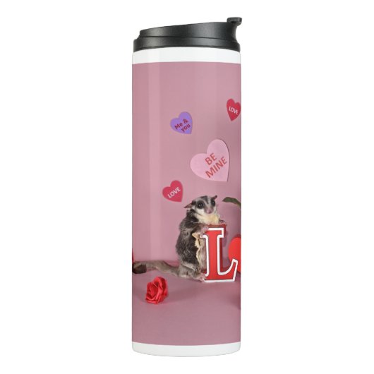 Bouteilles Isothermes Sougar Glider Valentine (Tourné sur la gauche)