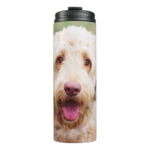 Bouteilles Isothermes Souriant d'endoodle doré