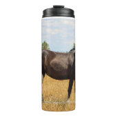 Bouteilles Isothermes South Steens Mare (Devant)