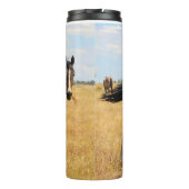 Bouteilles Isothermes South Steens Mare (Dos)