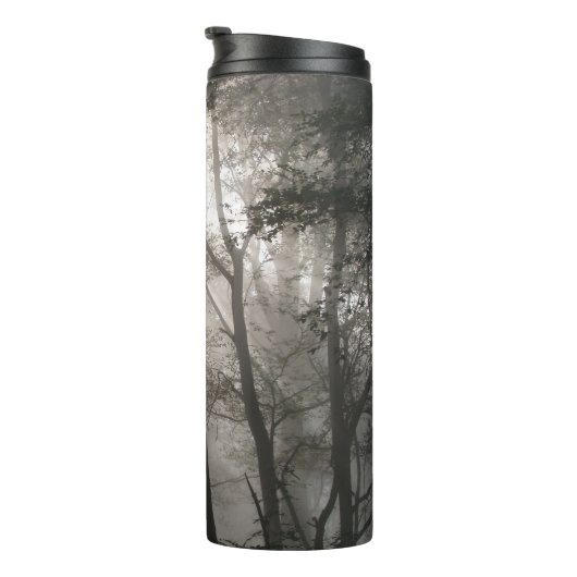 Bouteilles Isothermes Sunlight Through Trees Dark Woodland (Tourné sur la droite)