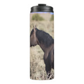 Bouteilles Isothermes T Tumbler de Steens (Devant)