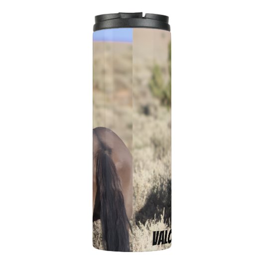 Bouteilles Isothermes T Tumbler de Steens (Dos)