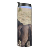 Bouteilles Isothermes T Tumbler de Steens (Tourné sur la droite)