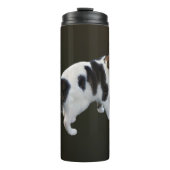 Bouteilles Isothermes Tabby Blanc Avec Patches Sombres (Devant)