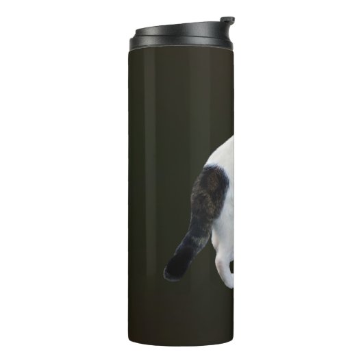 Bouteilles Isothermes Tabby Blanc Avec Patches Sombres (Tourné sur la gauche)
