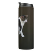 Bouteilles Isothermes Tabby Blanc Avec Patches Sombres (Tourné sur la droite)